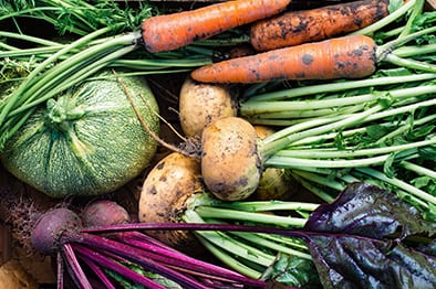 How to Grow a Vegetable Garden: A Guide for Novice Green Thumbs