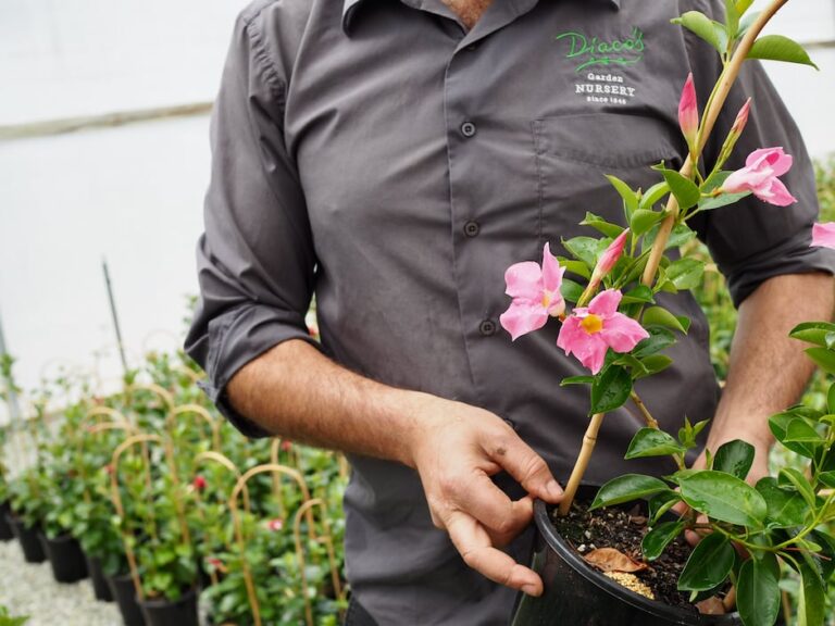 7 Health Benefits of Gardening