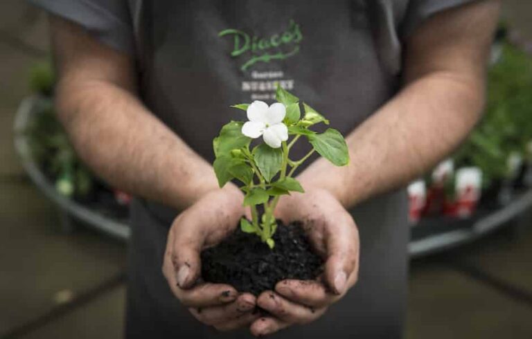 What are we doing about COVID-19?