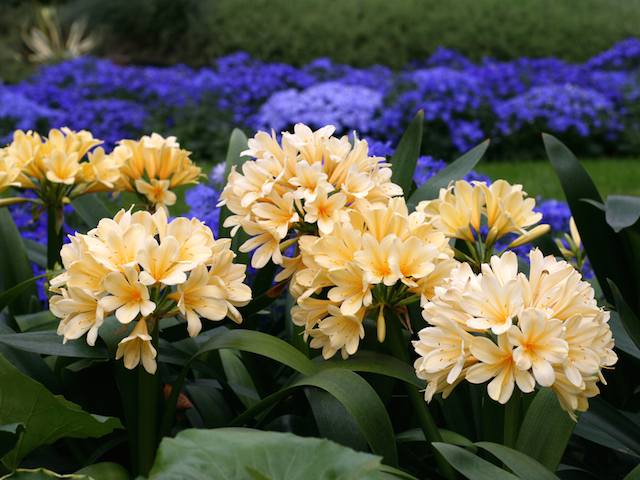 A Comprehensive Guide to Garden Basics: Soil, Water and Sunshine