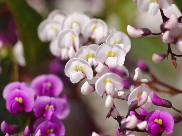 Choosing The Right Garden For Your Lifestyle