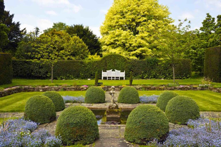 Discover the Timeless Elegance of Formal Gardens