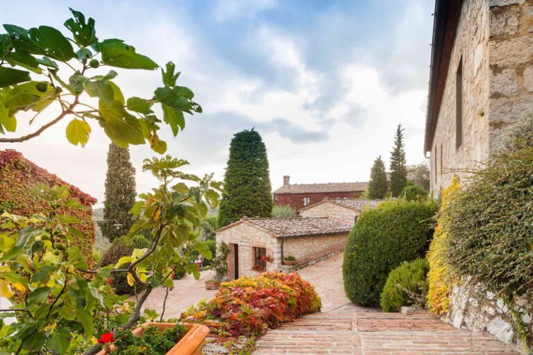 Unlock the Secret to a Stunning Mediterranean Garden