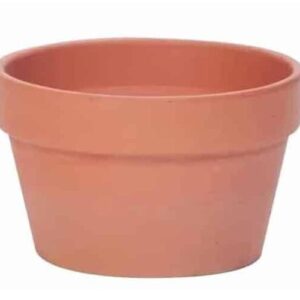 Terracotta Squat Cone