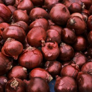 Onion Red